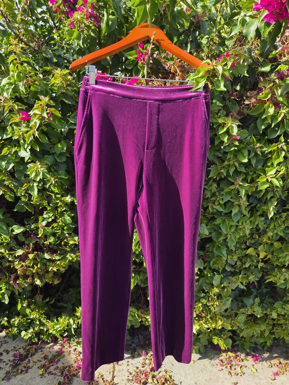 Draper James Velvet Pants Women's Small Straight Leg Elastic Waist NWT